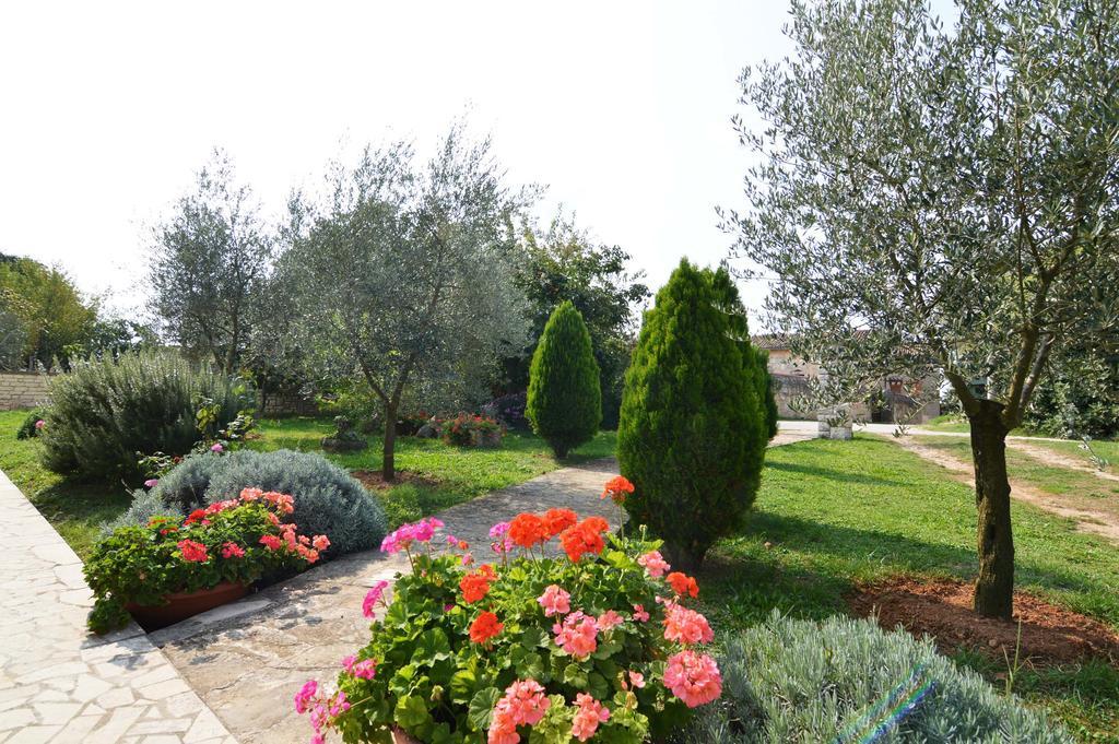 Garden Apartment Maria Vrsar Exterior photo